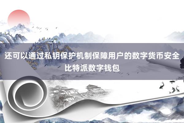 还可以通过私钥保护机制保障用户的数字货币安全比特派数字钱包