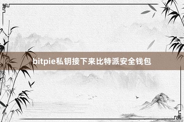 bitpie私钥接下来比特派安全钱包