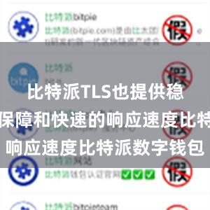 比特派TLS也提供稳定的服务保障和快速的响应速度比特派数字钱包