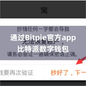 通过Bitpie官方app比特派数字钱包